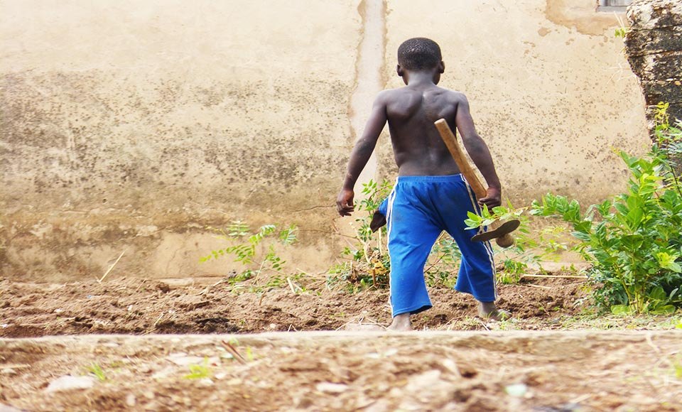 Agridigitale.tg - Actualité numérique agricole au Togo et en Afrique